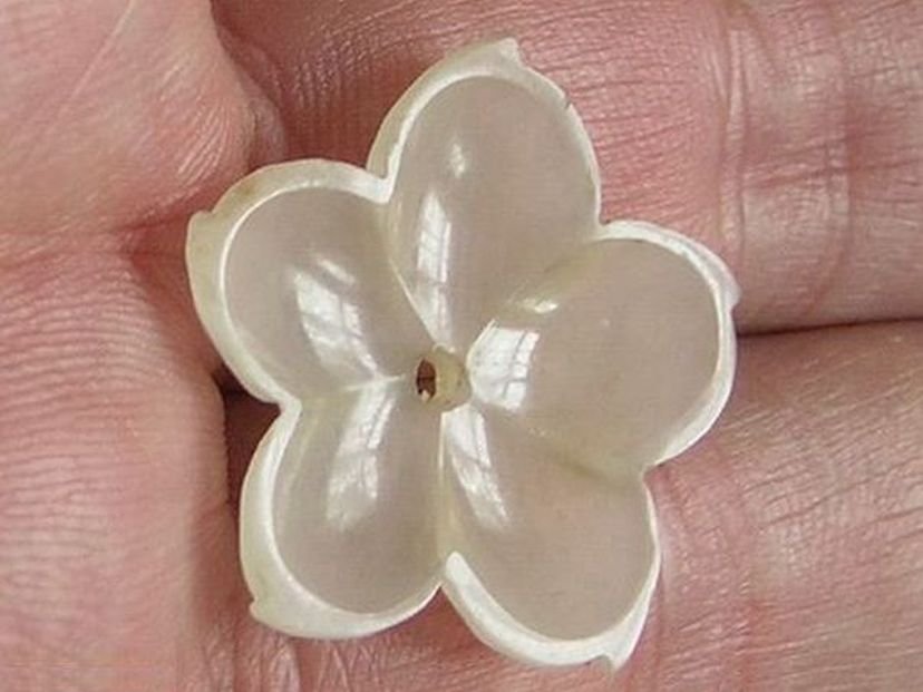 Flower   5 - (3137)